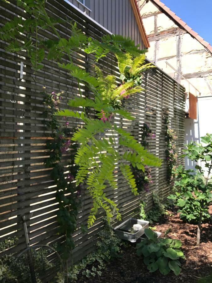 Blackbird´s Nest Wiesenbronn Exterior foto